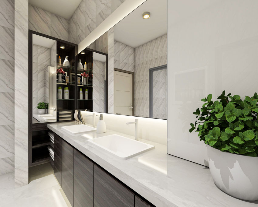 Bathroom with vanity area, mirror, potted plant,
faucet and cabinets
