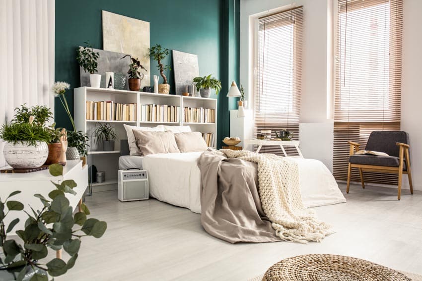 Bedroom with bookshelf, bed, indoor plant, chair, and rug