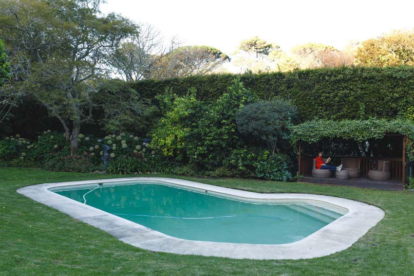 Older pool in backyard with hedge
