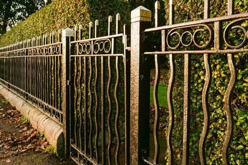 Gate with curve design and tall hedges