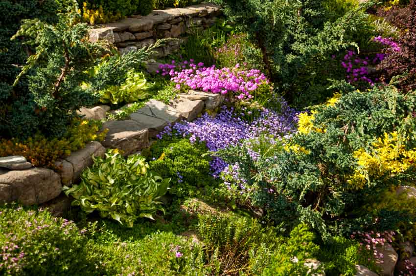 Outdoor garden with various blue and purple flowers