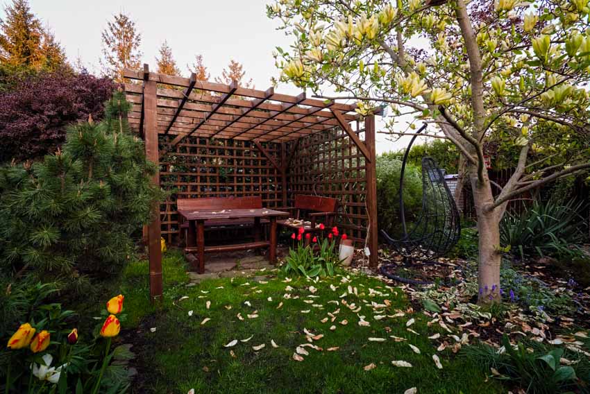 Outdoor space with grassy area, tree, hedge plants, pergola wood lattice panels, and bench