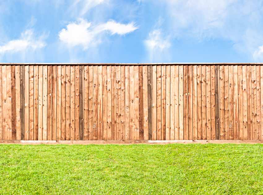 Overlapping fence with top cap made of durable wood near a grassy area