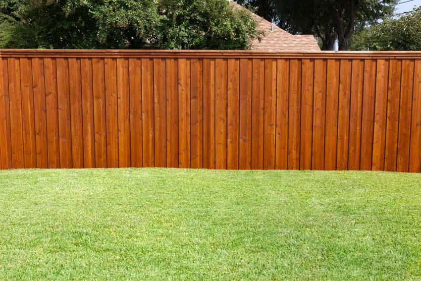 Redwood fence with grassy location near it