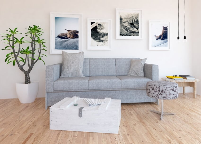 Scandinavian minimalist living room with pine wood flooring, grey sofa, framed cate images on wall and other furniture