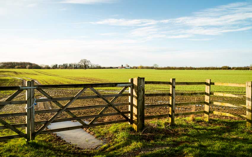 Fence gate with muddy ground