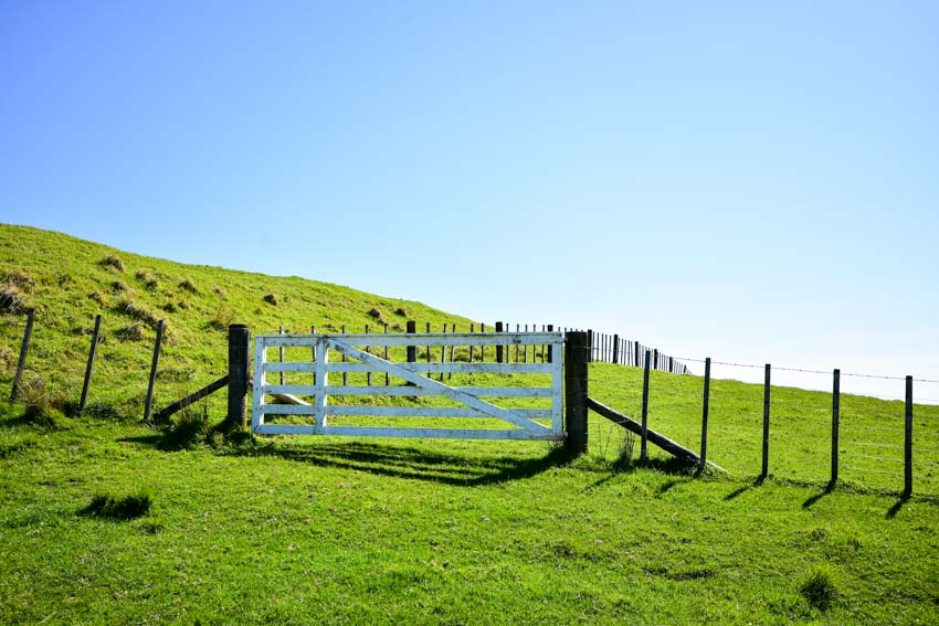 White T-post gate with black fence in grassy area