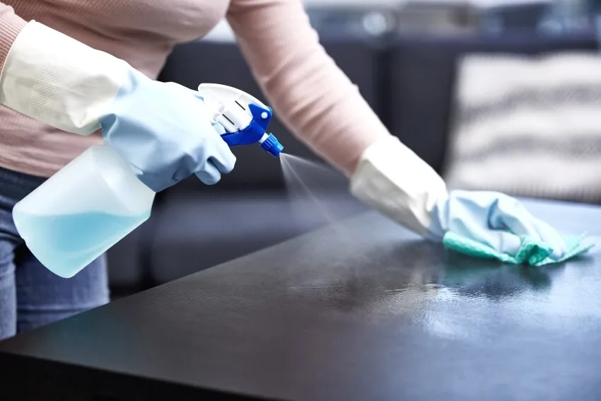Woman cleaning and polishing the kitchen worktop with a spray detergent