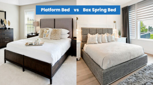 Platform Bed Vs Box Spring (Comparison & Pros And Cons)