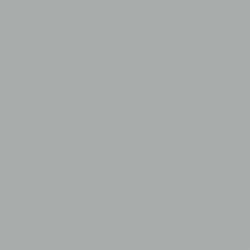 African Gray (SW 9162)
