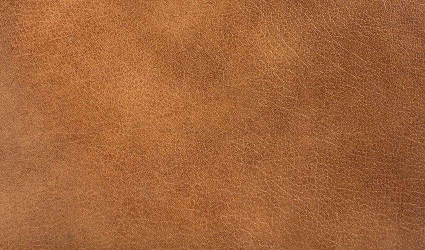 Top grain aniline leather