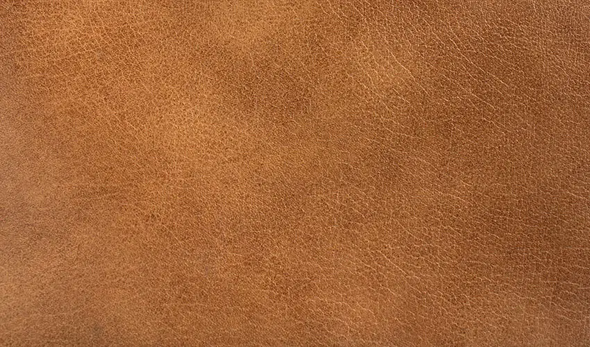 Top grain leather