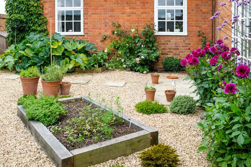 Crushed limestone with potted plants