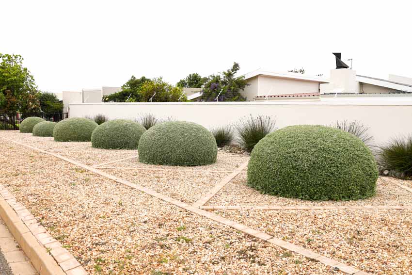 Decomposed granite surrounded by rounded hedges