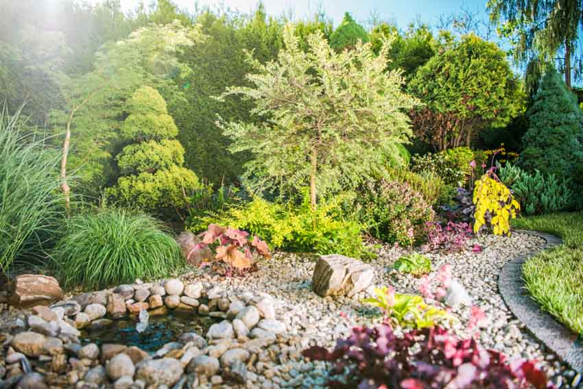 Backyard with water feature