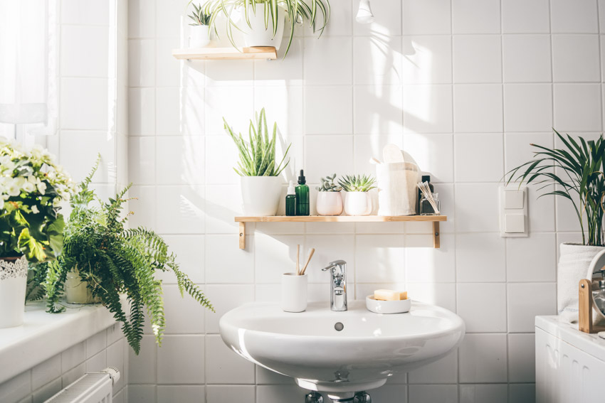 Bathroom with floating wood shelves, sink, tile wall, window, and indoor plants