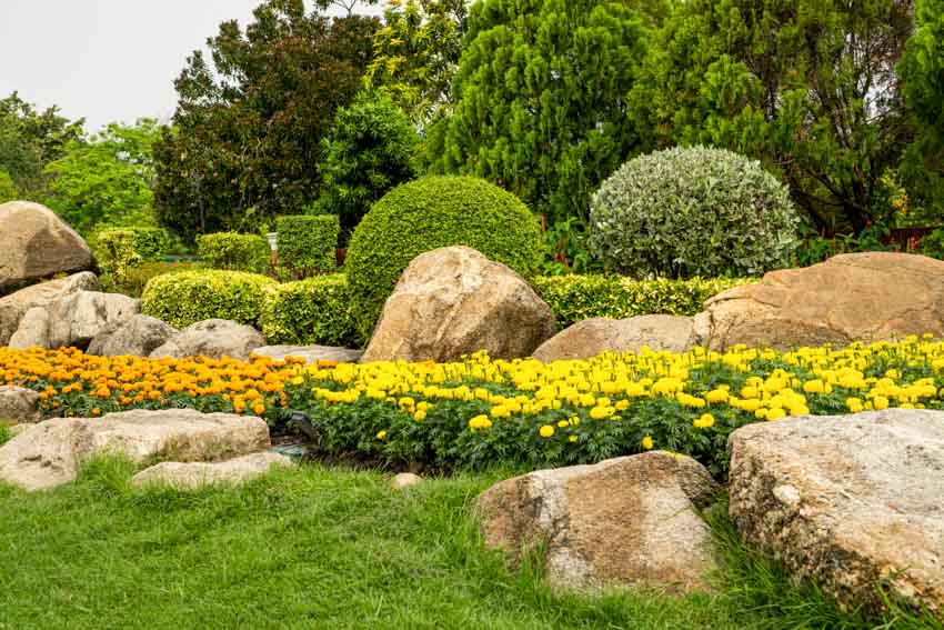 Beautiful garden with hedge plants, flowers, trees, and boulders