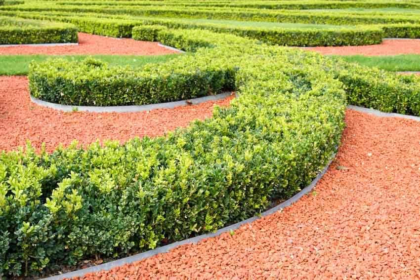 Beautiful landscaped hedge plants, and brick chips