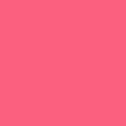 Brink pink (#fb607f)