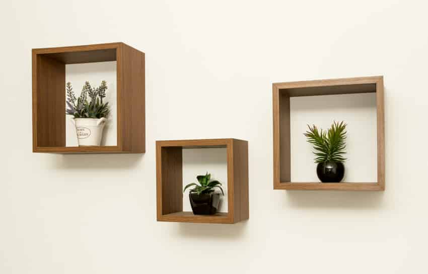 Cube shelves with plants on it installed on a wall