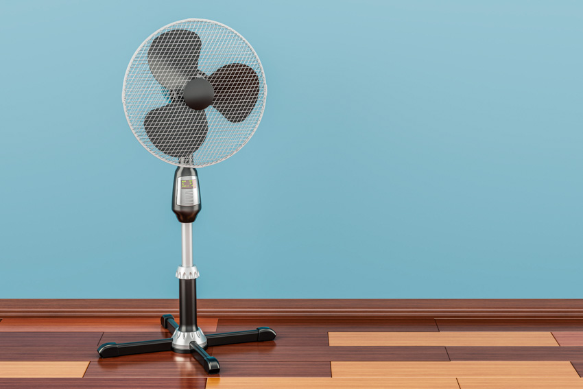 Empty room with pedestal fan, wood floor, and blue wall