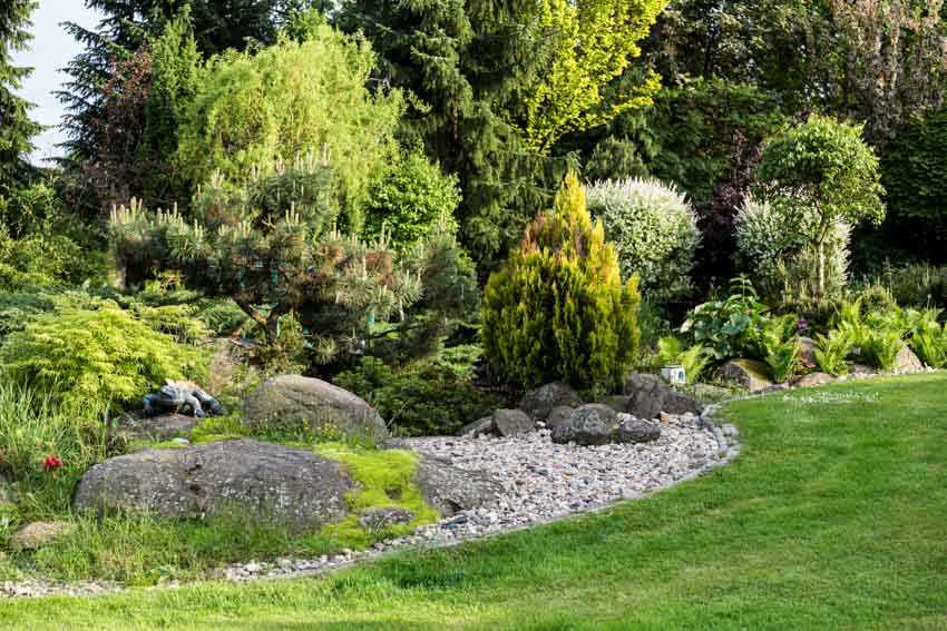 Garden area with grass, plants, small trees, and rocks