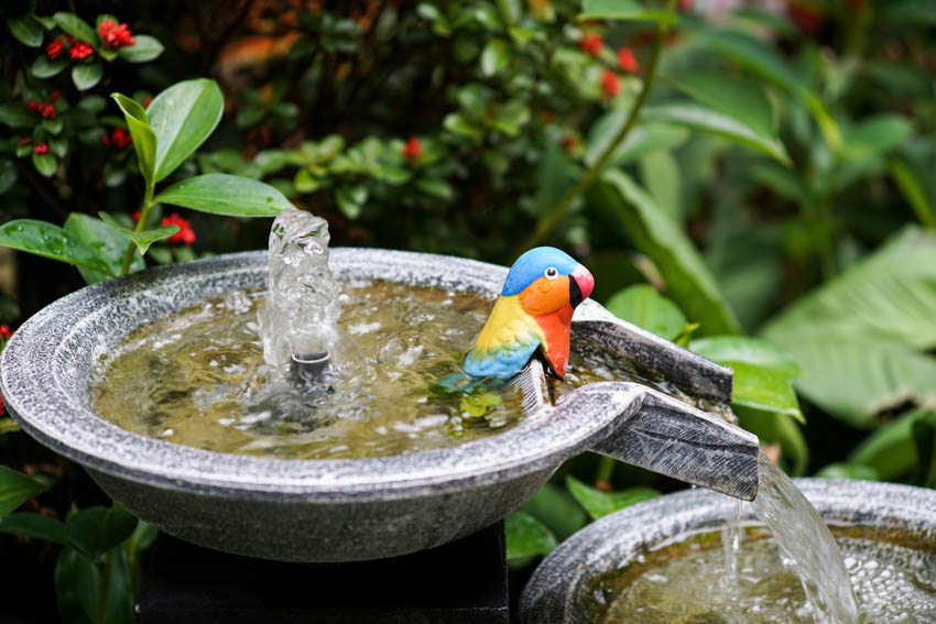 Garden with birdbath fountain and plants