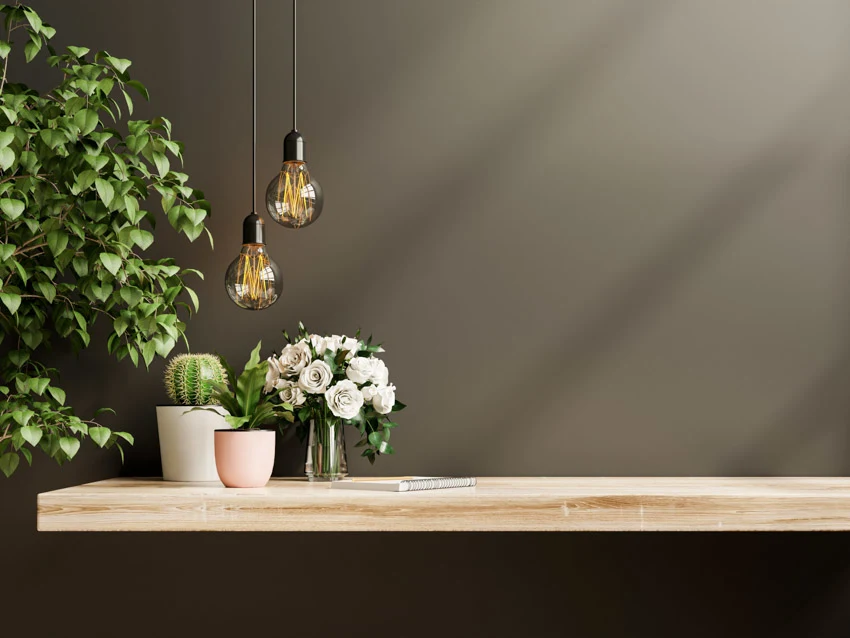 Poplar shelf, hanging lights, and floral vase
