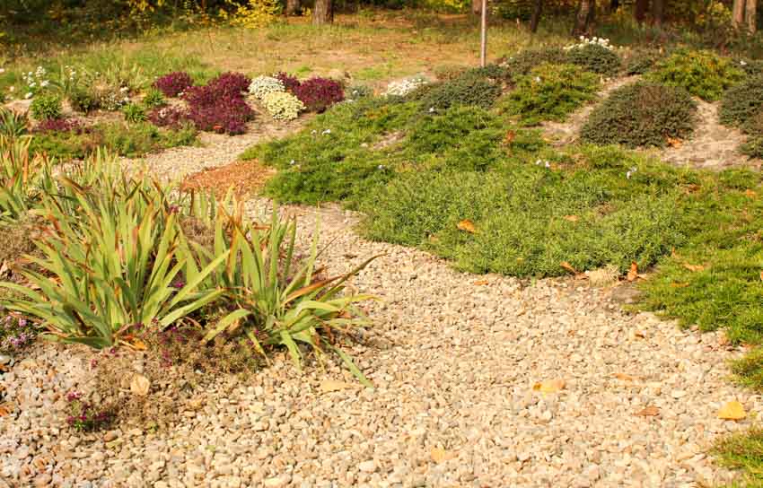 Lawn with plants, flowers, and pea gravel landscaping rocks