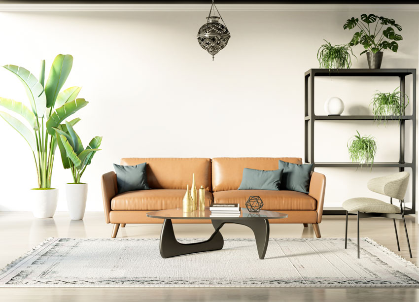 Living room with hazelnut leather couch, pillows, freestanding shelf, indoor plants, rug, and coffee table