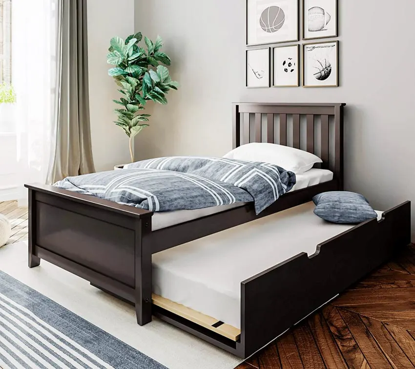 Trundle bed, comforter, pillow, curtain, and plant