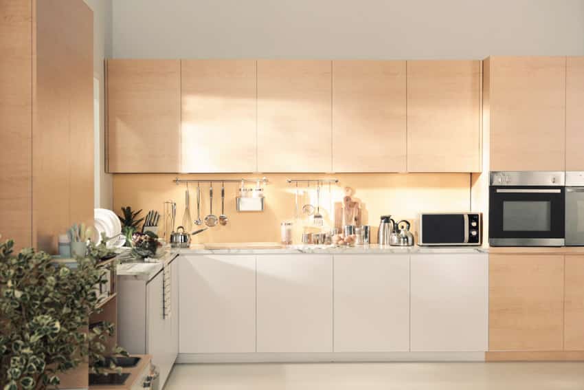 Minimalist kitchen with backsplash, frameless cabinet doors, and indoor plants