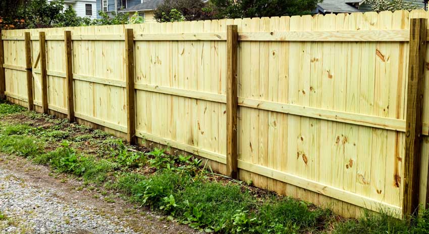 Cedar dog ear fence