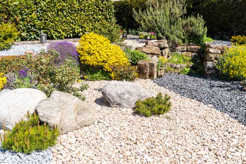 Outdoor area with landscaping rocks, hedge plants, and flowers