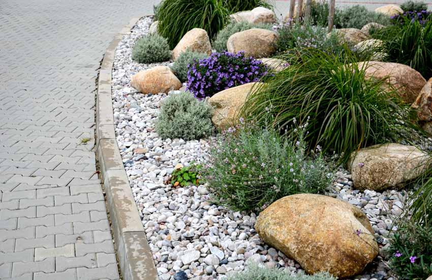 Outdoor area with paved walkway plants, landscaping boulders, and rocks