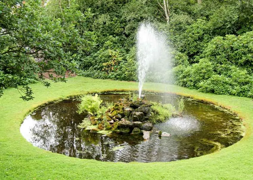Backyard pond with spouting fountain