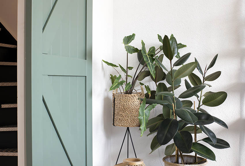 Painted interior swinging barn door