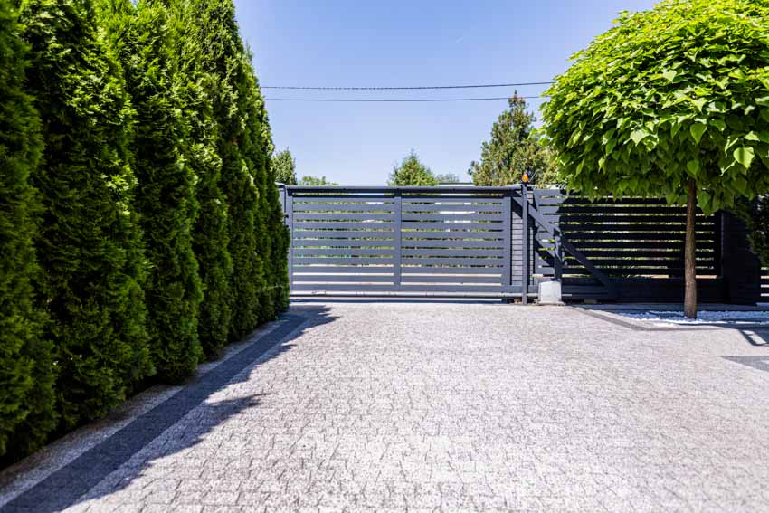Paved driveway with hedge plants, trees, and metal sliding gate