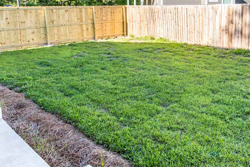 Grassy area and view of a residential fence