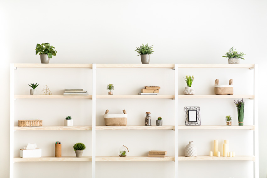 Wall shelves made of pine wood with household items, and indoor plants