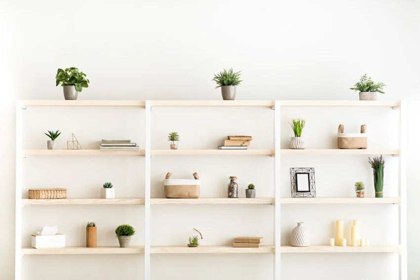 Shelves with potted plants, picture frames and stacked books