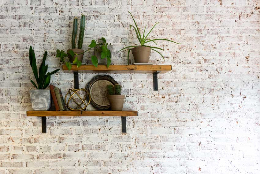 Wooden shelves with indoor plants installed on brick wall
