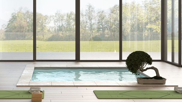 Plunge Pool Size (Dimensions Guide)