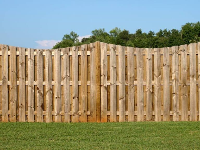 Douglas Fir Fence (Board Styles & Pros and Cons)