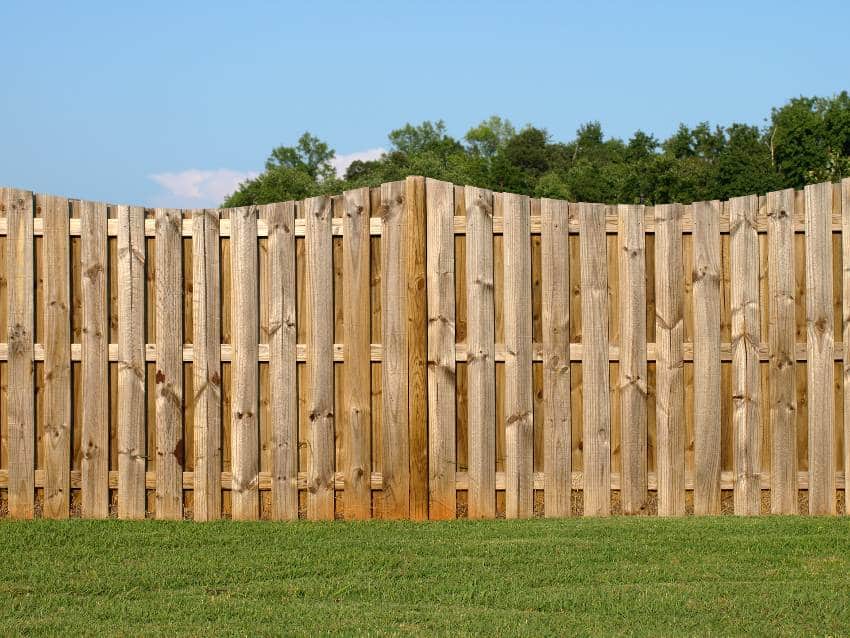 A Douglas fir fence landscape