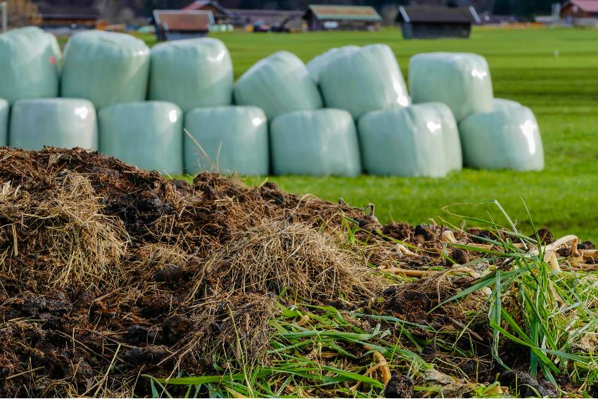 A pile of green manure compost with plastic bags on the background