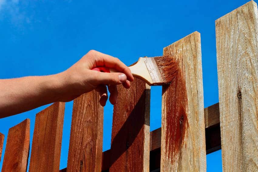 Applying stain for Douglas fir fence
