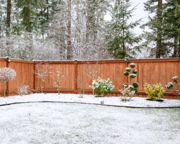 Douglas Fir Fence (Board Styles & Pros and Cons)