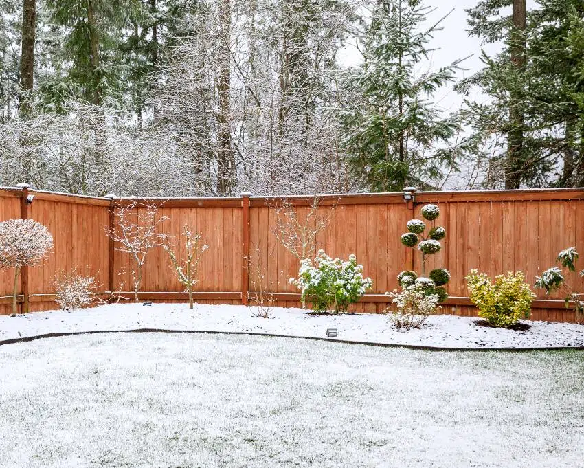 Backyard with pre stained Douglas fir fence boards in a snowy winter