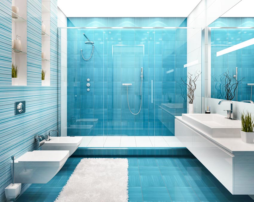 Bathroom with glass surround shower wall, glass door, toilet, bidet, vanity area, countertop, and mirror